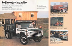 1979 Ford F-Series Trucks-02-03.jpg